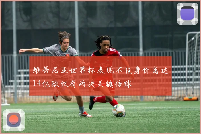 维蒂尼亚世界杯表现不佳身价高达14亿欧仅有两次关键传球